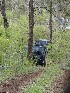 On the trail